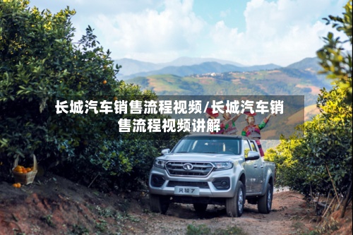 长城汽车销售流程视频/长城汽车销售流程视频讲解