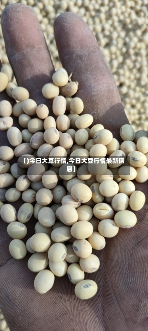 【)今日大豆行情,今日大豆行情最新信息】-第2张图片
