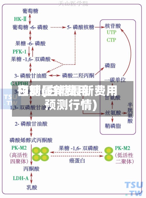 白糖最新费用
预测(白糖最新费用
预测行情)-第2张图片