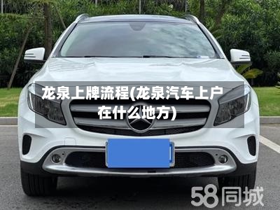 龙泉上牌流程(龙泉汽车上户在什么地方)