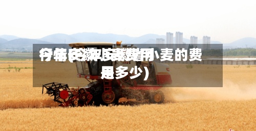 今年安徽小麦费用
行情(今年安徽省小麦的费用
是多少)-第2张图片