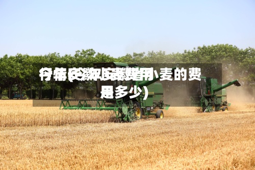 今年安徽小麦费用
行情(今年安徽省小麦的费用
是多少)
