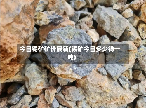 今日锡矿矿价最新(锡矿今日多少钱一吨)