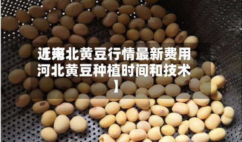近来
【河北黄豆行情最新费用
河北黄豆种植时间和技术】-第2张图片