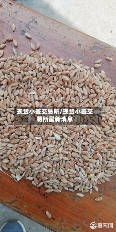现货小麦交易所/现货小麦交易所最新消息