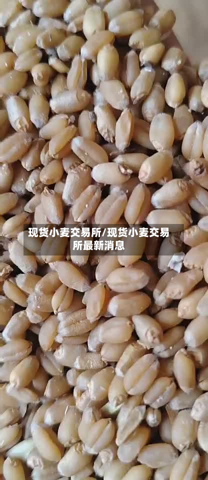 现货小麦交易所/现货小麦交易所最新消息-第2张图片