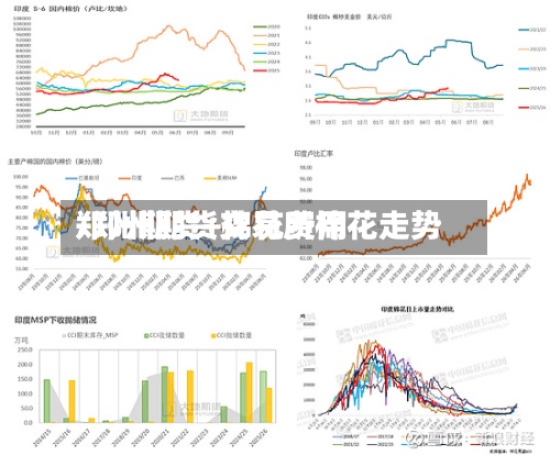 郑州期货+棉花费用
/郑州期货交易所棉花走势-第2张图片