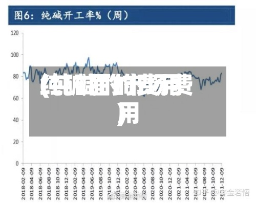 纯碱面的费用
(纯碱的市场费用
)