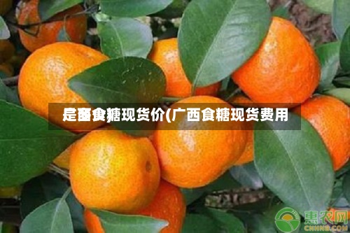 广西食糖现货价(广西食糖现货费用
是多少)