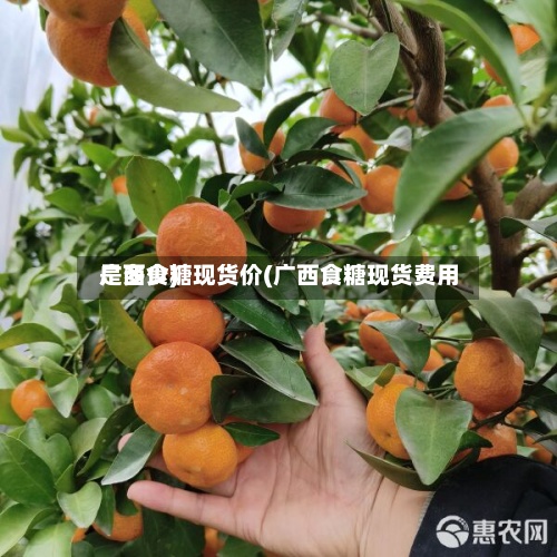 广西食糖现货价(广西食糖现货费用
是多少)-第2张图片