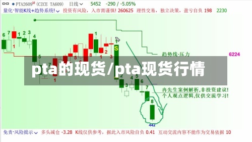 pta的现货/pta现货行情-第2张图片