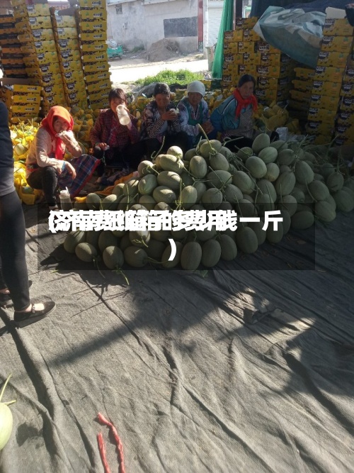 济南费纸箱的费用(济南纸箱子多少钱一斤)