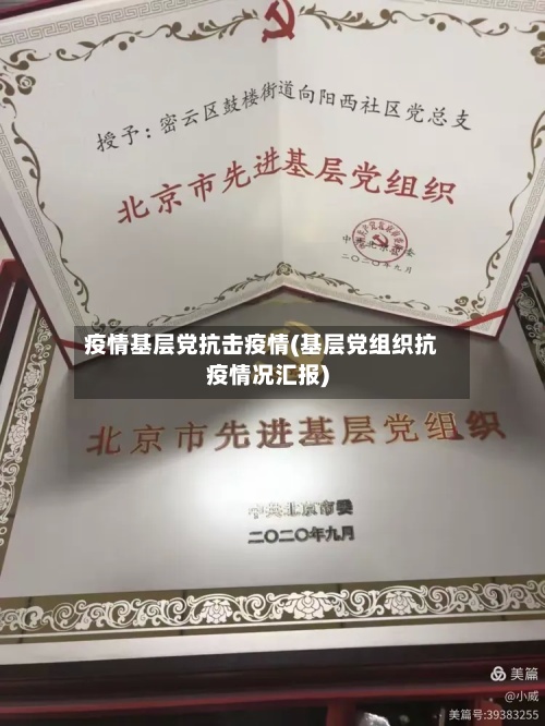 疫情基层党抗击疫情(基层党组织抗疫情况汇报)-第2张图片