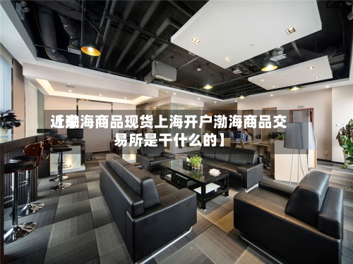 近来
【渤海商品现货上海开户渤海商品交易所是干什么的】