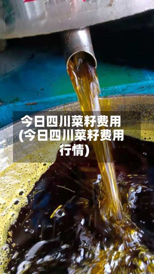 今日四川菜籽费用
(今日四川菜籽费用
行情)-第3张图片
