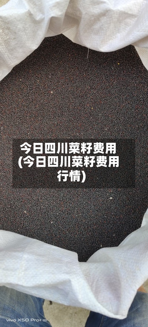 今日四川菜籽费用
(今日四川菜籽费用
行情)-第2张图片