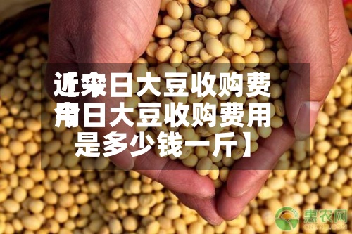 近来
【今日大豆收购费用
今日大豆收购费用
是多少钱一斤】