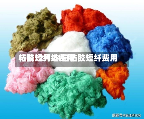 粘胶短纤维费用
行情/2月24日粘胶短纤费用