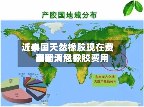 近来
【泰国天然橡胶现在费用
泰国天然橡胶费用
最新消息】-第2张图片