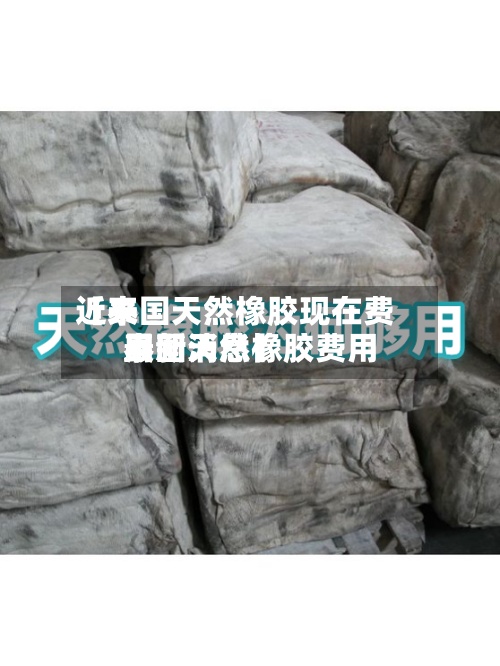 近来
【泰国天然橡胶现在费用
泰国天然橡胶费用
最新消息】