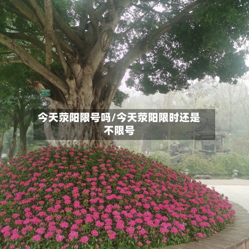今天荥阳限号吗/今天荥阳限时还是不限号