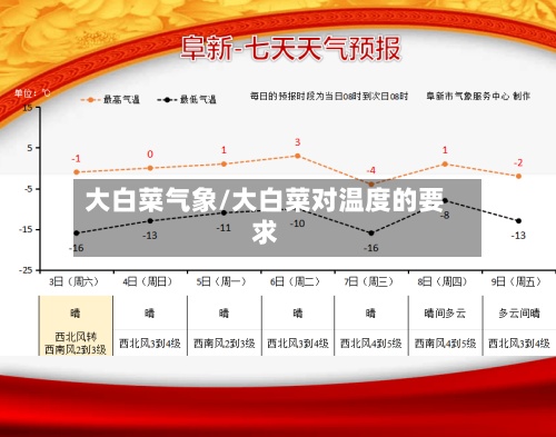 大白菜气象/大白菜对温度的要求