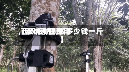 【版纳割胶费用
,西双版纳割胶多少钱一斤】