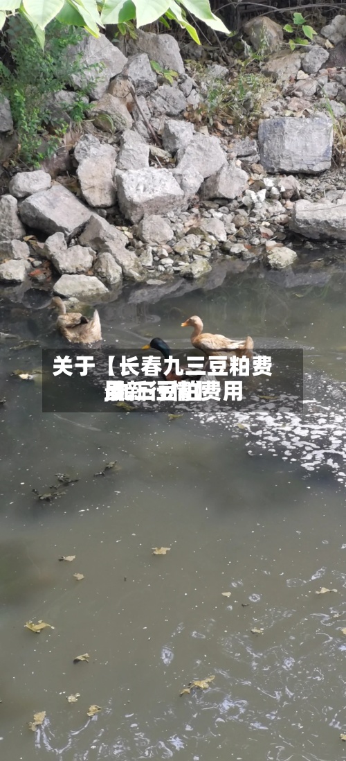 关于【长春九三豆粕费用
,九三豆粕费用
最新行情】-第3张图片
