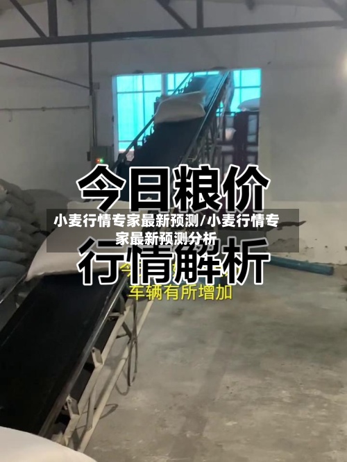 小麦行情专家最新预测/小麦行情专家最新预测分析