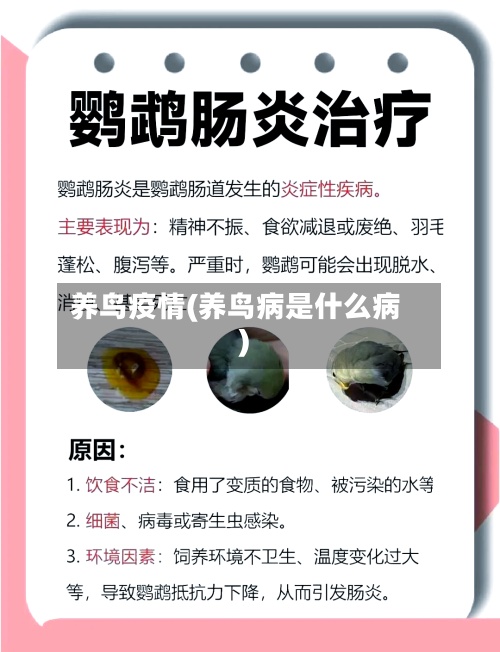 养鸟疫情(养鸟病是什么病)-第3张图片