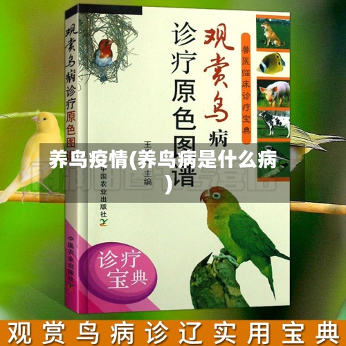 养鸟疫情(养鸟病是什么病)