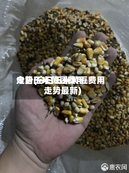 今日玉米黄豆费用
走势(今日玉米黄豆费用
走势最新)