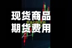 现货商品期货费用
/期货产品的现货费用