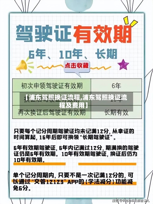 【浦东驾照换证流程,浦东驾照换证流程及费用】-第2张图片