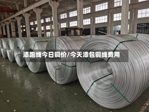 漆跑线今日铜价/今天漆包铜线费用