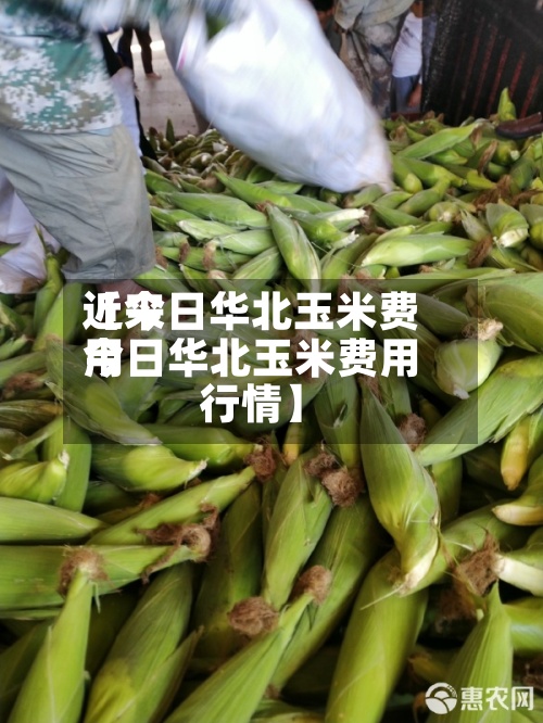 近来【今日华北玉米费用今日华北玉米费用行情】