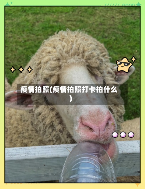 疫情拍照(疫情拍照打卡拍什么)