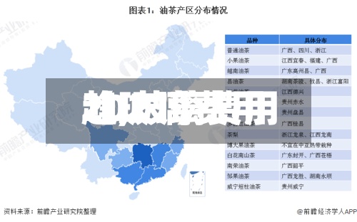 【玻璃费用
趋,玻璃费用
2021】