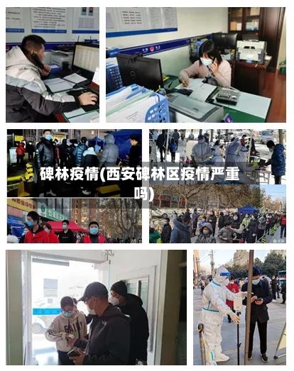 碑林疫情(西安碑林区疫情严重吗)-第2张图片