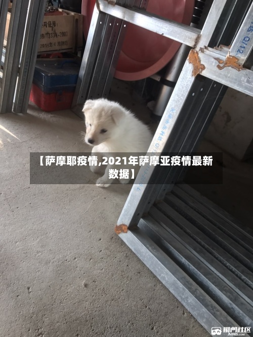 【萨摩耶疫情,2021年萨摩亚疫情最新数据】