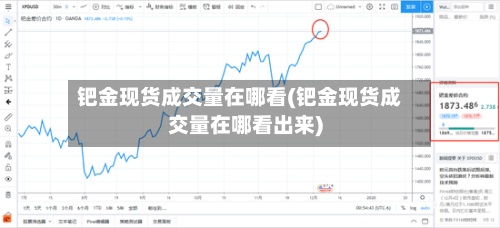 钯金现货成交量在哪看(钯金现货成交量在哪看出来)-第2张图片