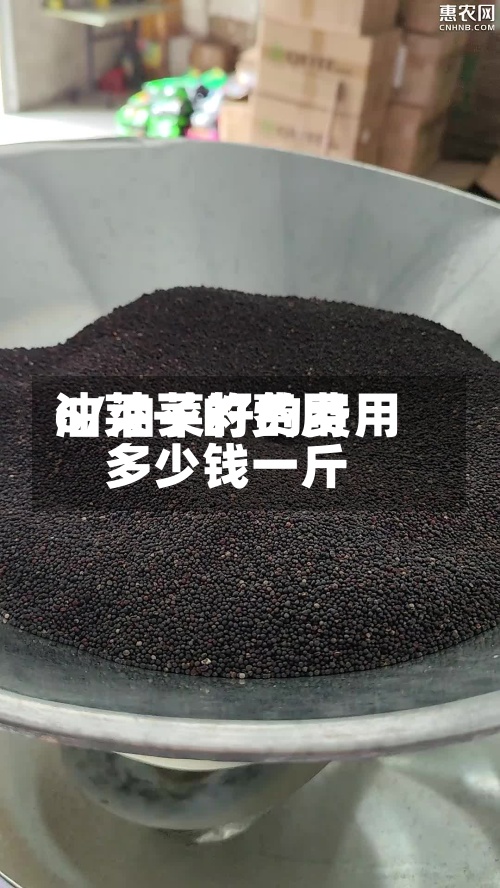 油莱子的费用
6/油菜籽的费用
多少钱一斤-第2张图片