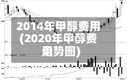 2014年甲醇费用(2020年甲醇费用走势图)