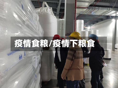 疫情食粮/疫情下粮食-第3张图片