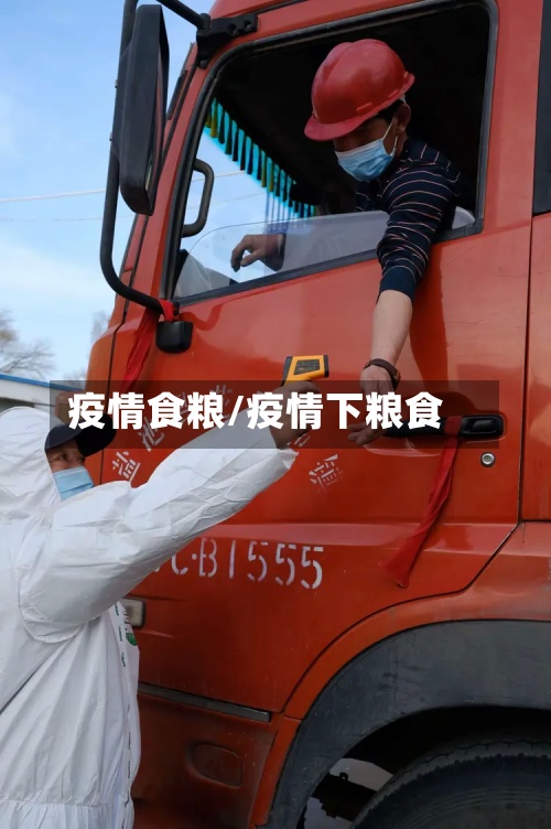 疫情食粮/疫情下粮食-第2张图片
