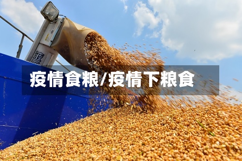 疫情食粮/疫情下粮食