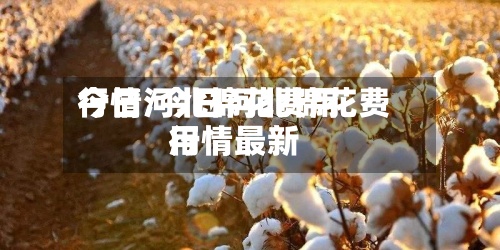 今日河北棉花费用
行情/今日河北棉花费用
行情最新