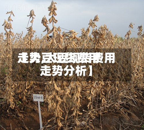 【大豆现货费用
走势,大豆现货费用
走势分析】-第2张图片
