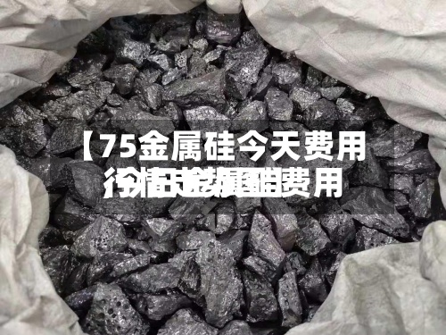 【75金属硅今天费用
,今日金属硅费用
行情走势图】