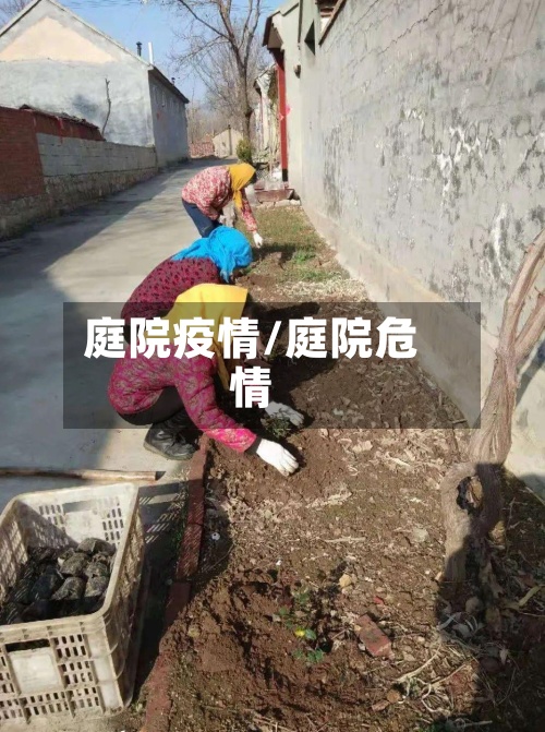 庭院疫情/庭院危情
